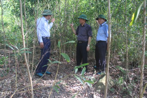 Đồng chí Nguyễn Đình Tuy - PCT UBND huyện cùng đoàn kiểm tra tại một số diện tích rừng trồng mới (1).JPG