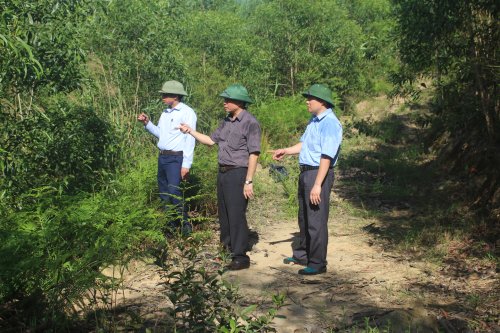 Đồng chí Nguyễn Đình Tuy - PCT UBND huyện cùng đoàn kiểm tra tại một số diện tích rừng trồng mới (2).JPG
