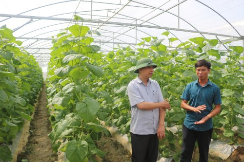 5. chủ trang trại Lê Ngọc Nam (áo xanh xẫm) đang trao đổi quy trình trồng dưa với đc Bí thư huyện ủy.JPG