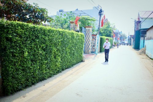 3. Những tuyến đường có hàng rào xanh mát mắt thôn Trinh Phú..jpg