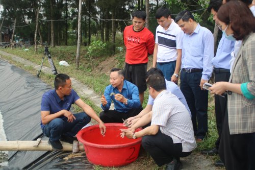 2. ông Trần Đình Luân - Tổng cục trưởng Tổng cục thủy sản đánh giá cao chất lượng tôm ở mô hình của anh Lê Văn Hùng.JPG